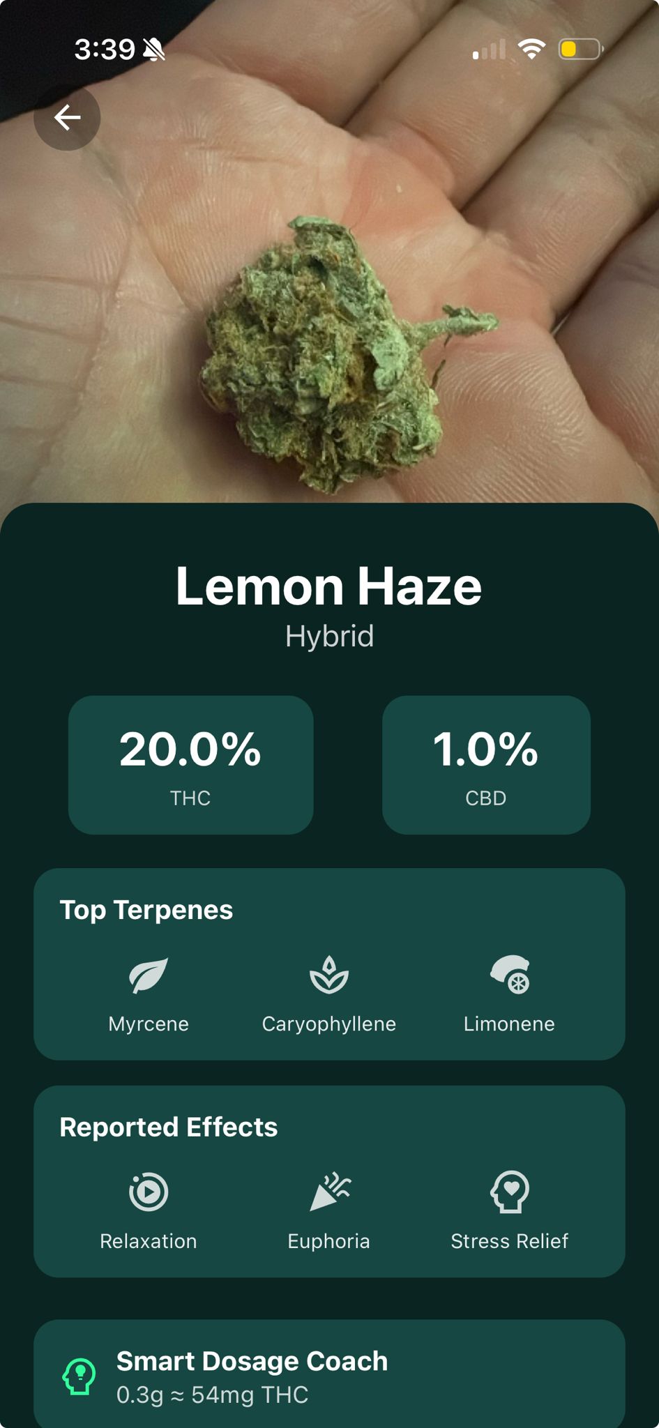 AI Strain Identification